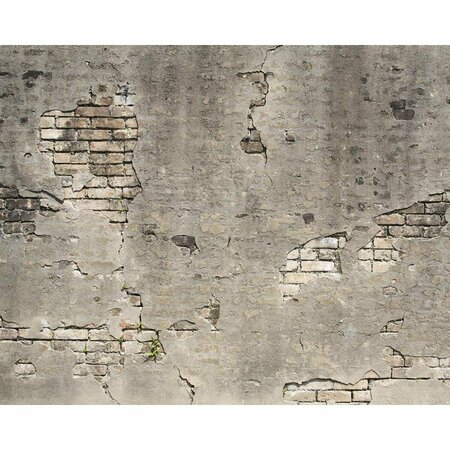 WALL ROGUES Broken Concrete Wall Mural WR50520